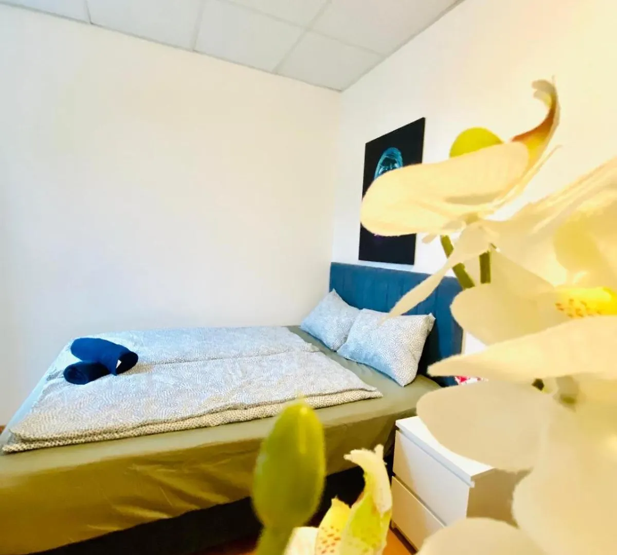 公寓 Elegant 3-Bedroom Retreat Convenient City Access 维也纳